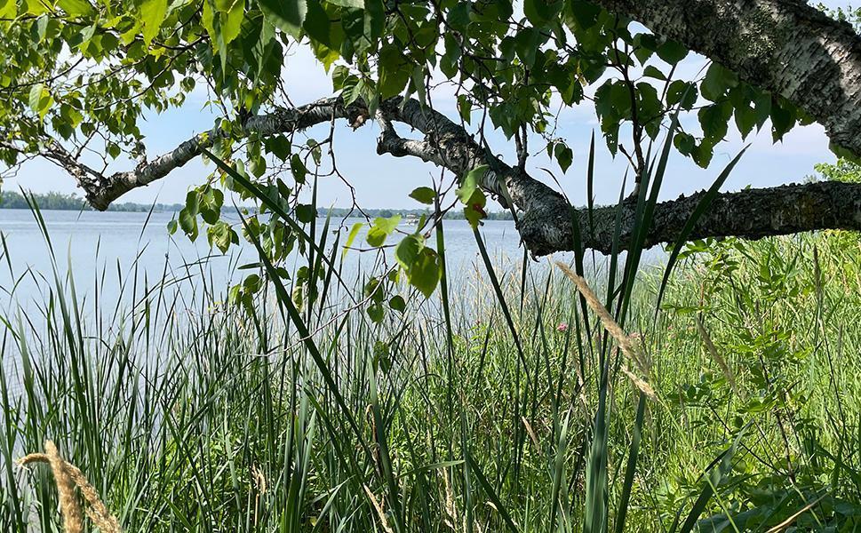 Lot 4 Seclusion Point Road