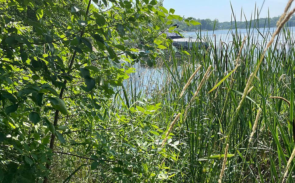 Lot 4 Seclusion Point Road