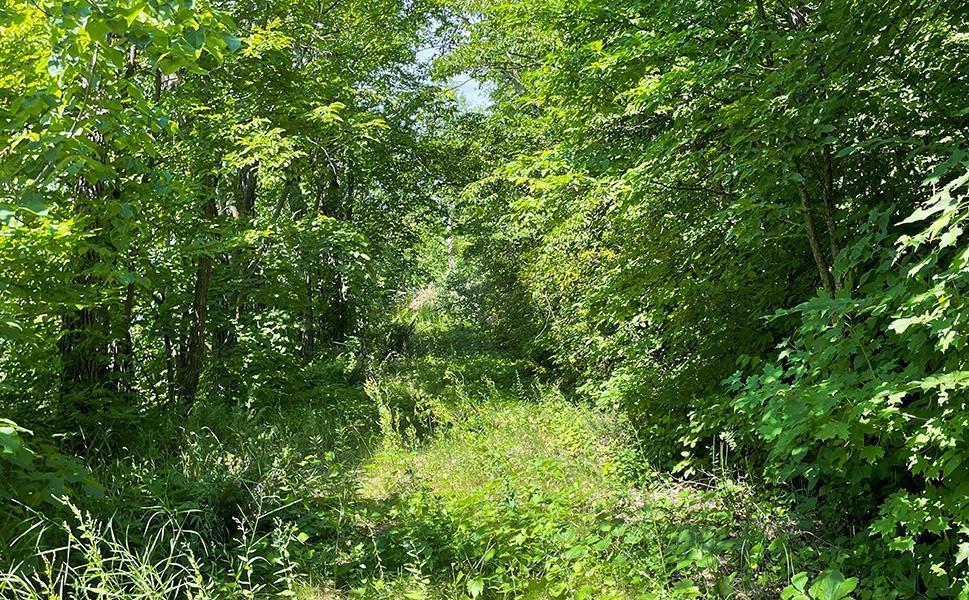 Lot 4 Seclusion Point Road