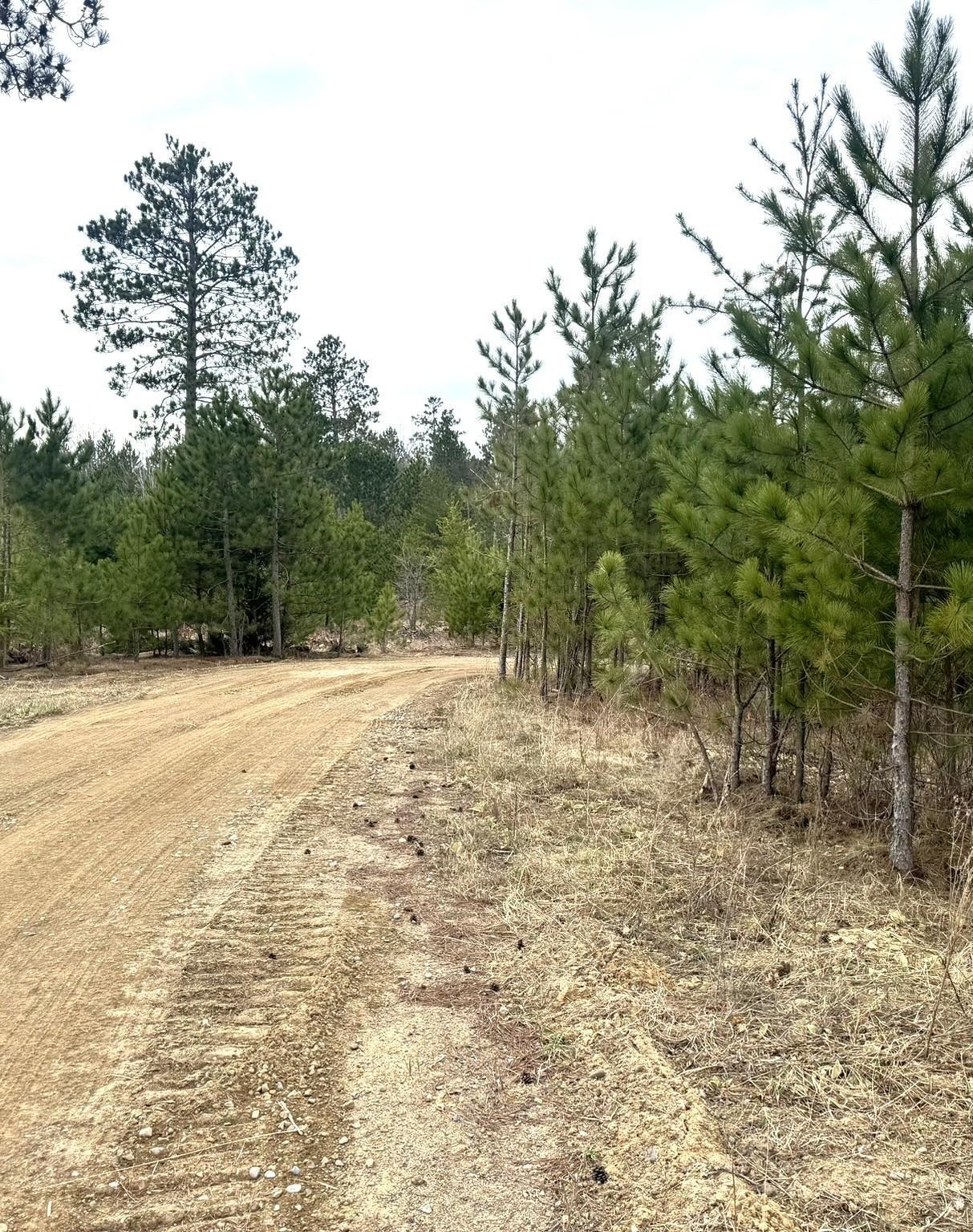 24776 Destination Drive