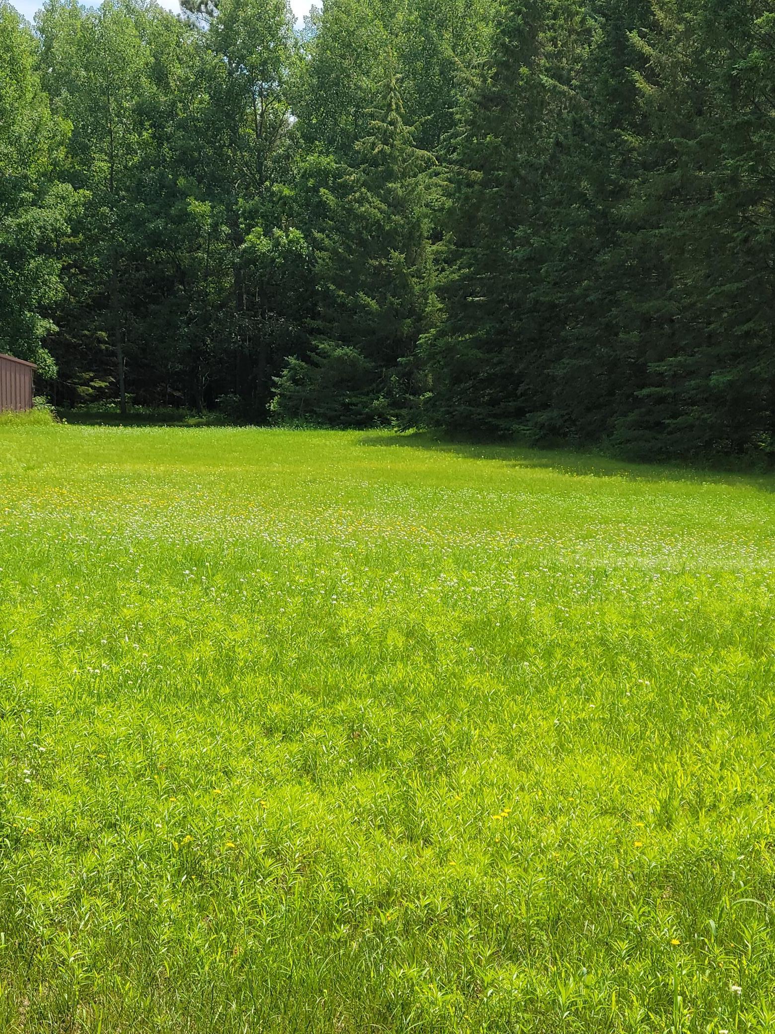 15169 Stocking Lake Road
