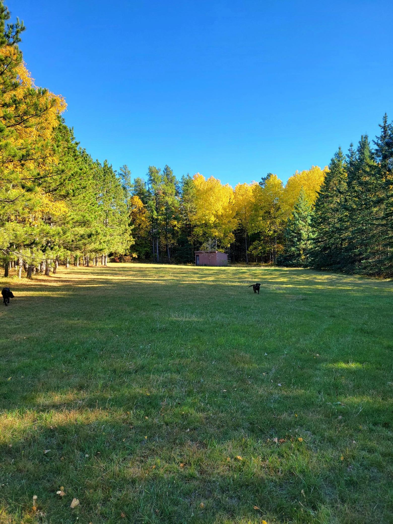 15169 Stocking Lake Road