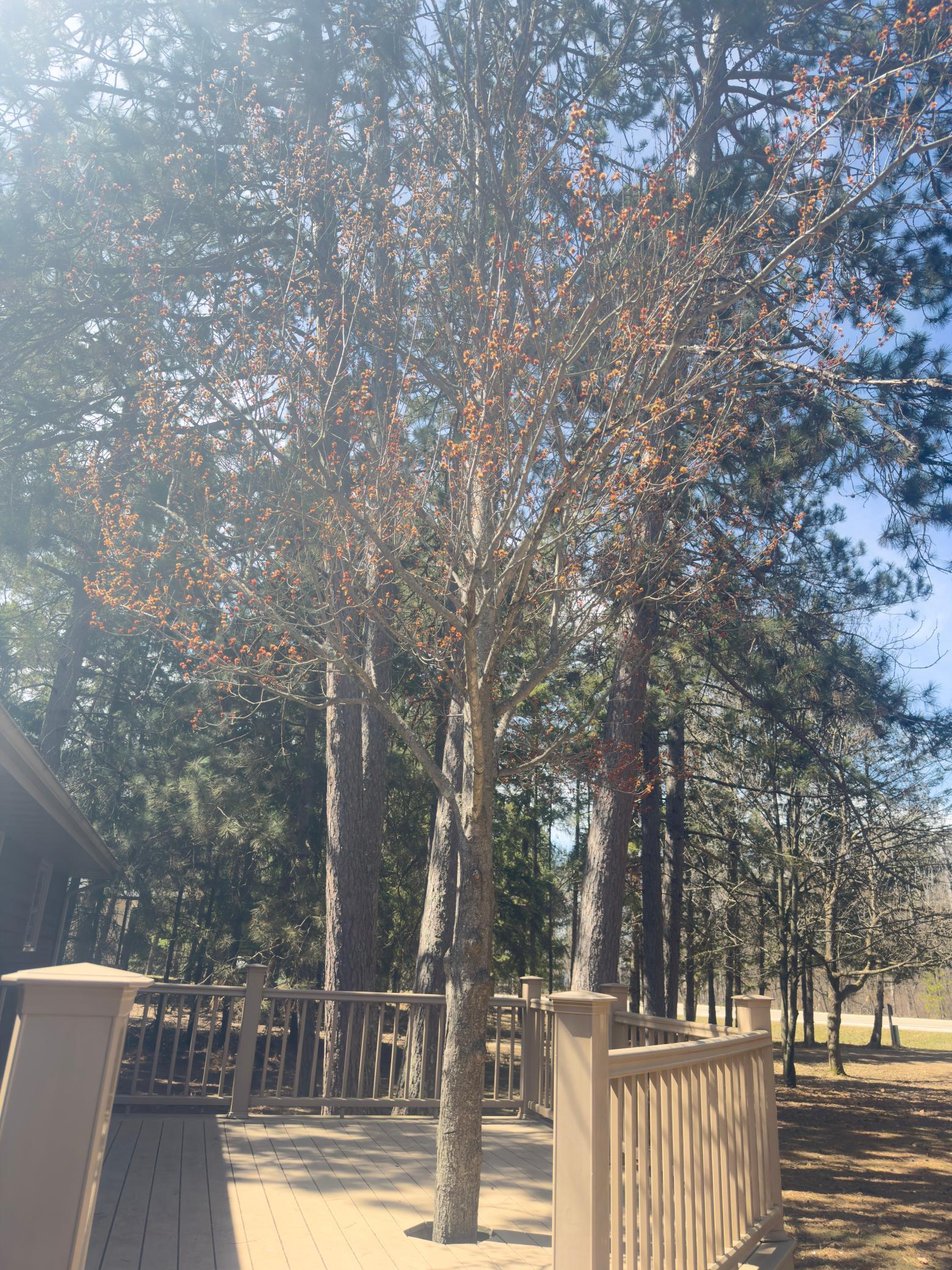15169 Stocking Lake Road