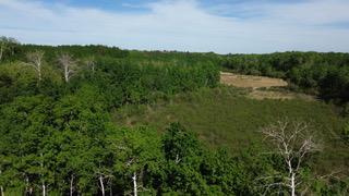 TBD County 4