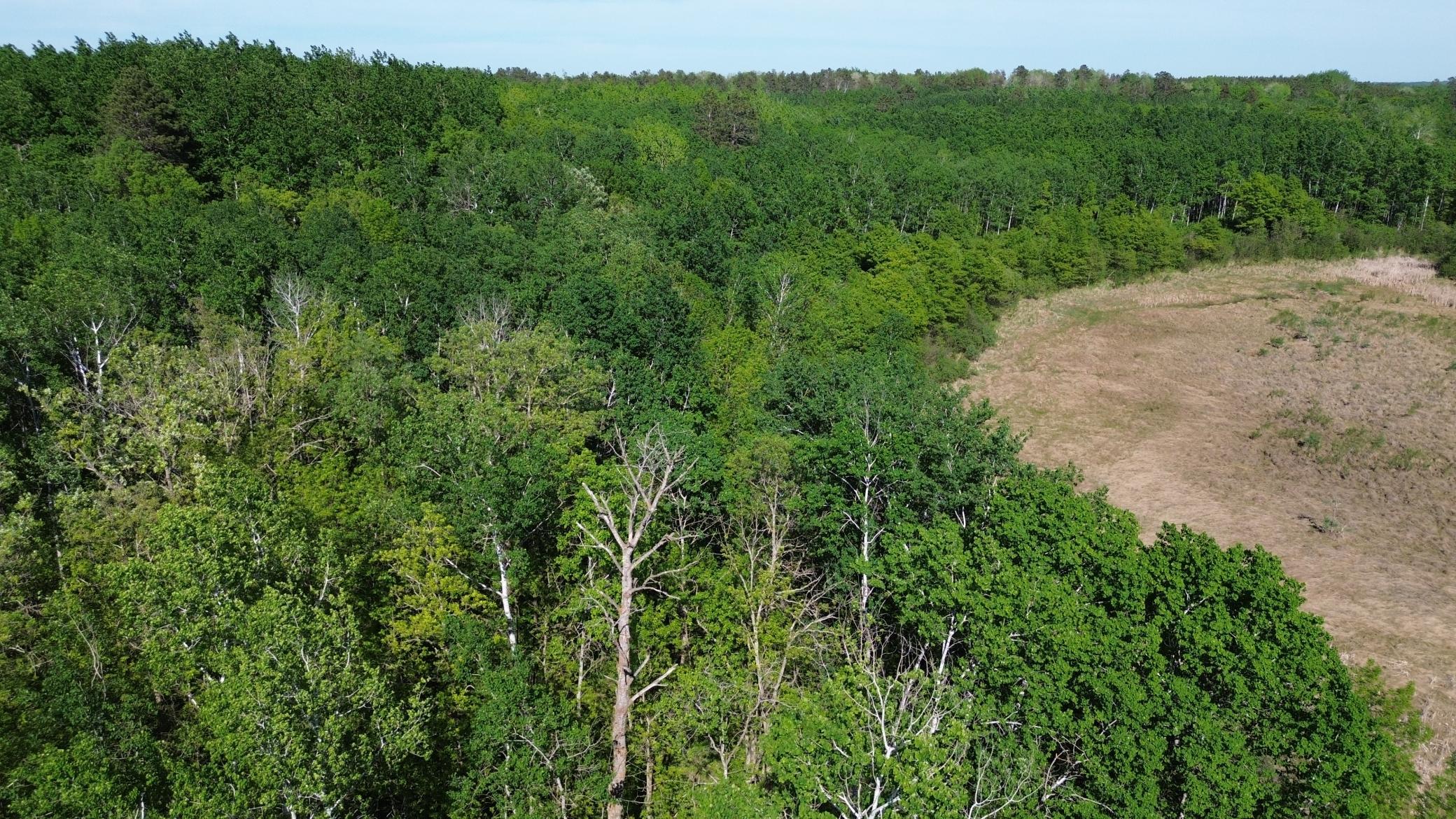 TBD County 4