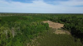 TBD County 4