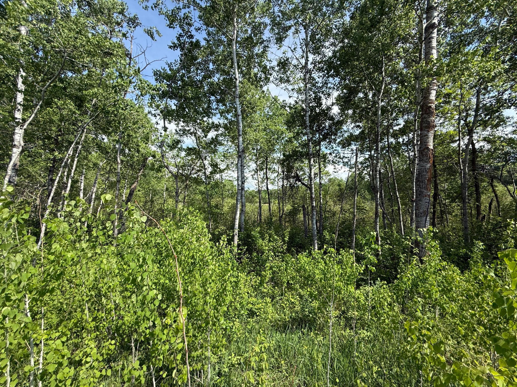 TBD County 4