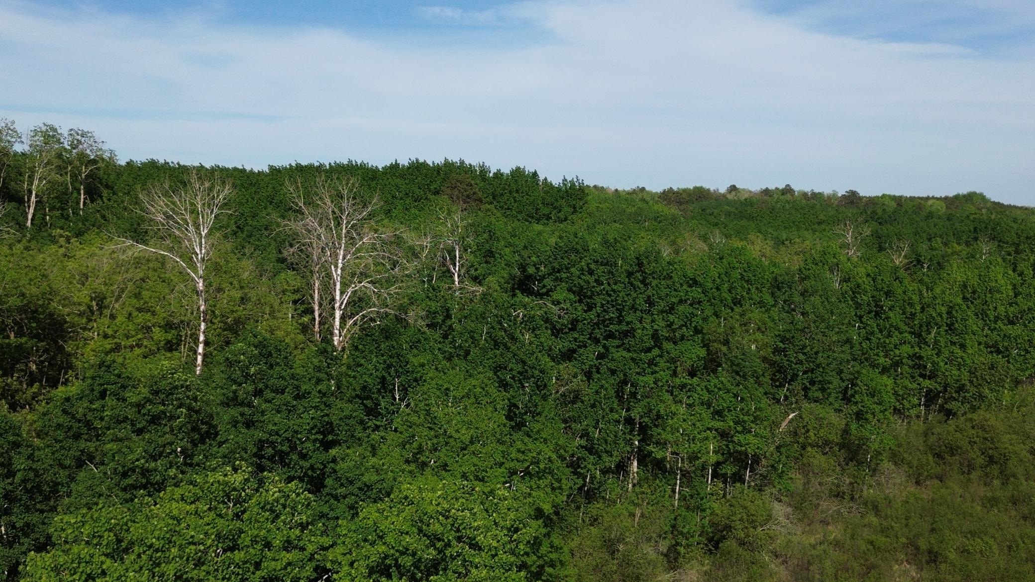 TBD County 4