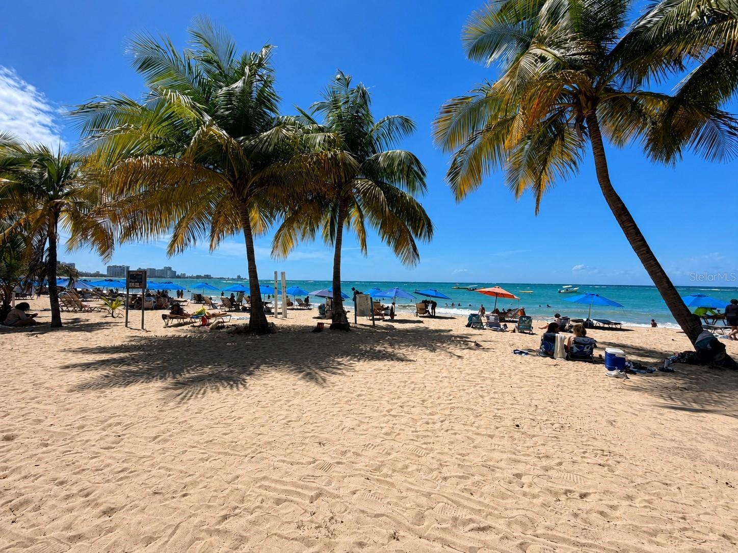 6165 AVE. ISLA VERDE #458