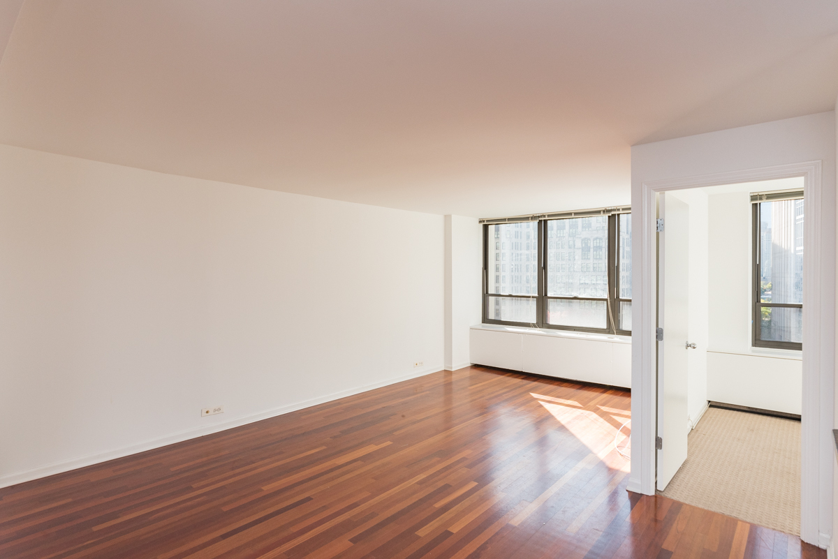222 E PEARSON Street Unit: 406