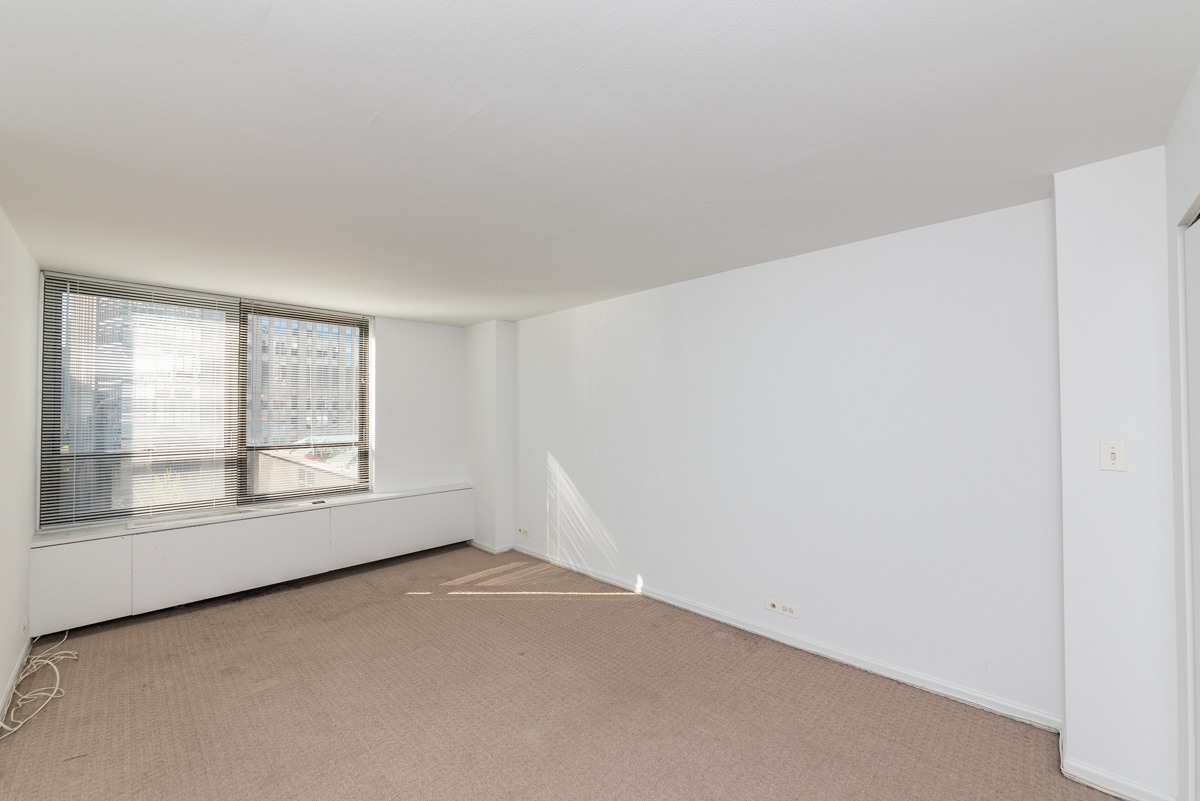 222 E PEARSON Street Unit: 406