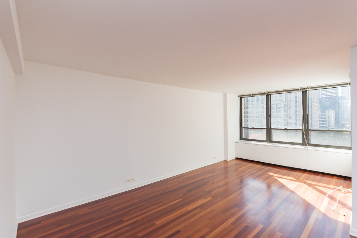 222 E PEARSON Street Unit: 406