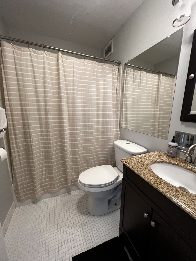 70 W Burton Place Unit: 1706