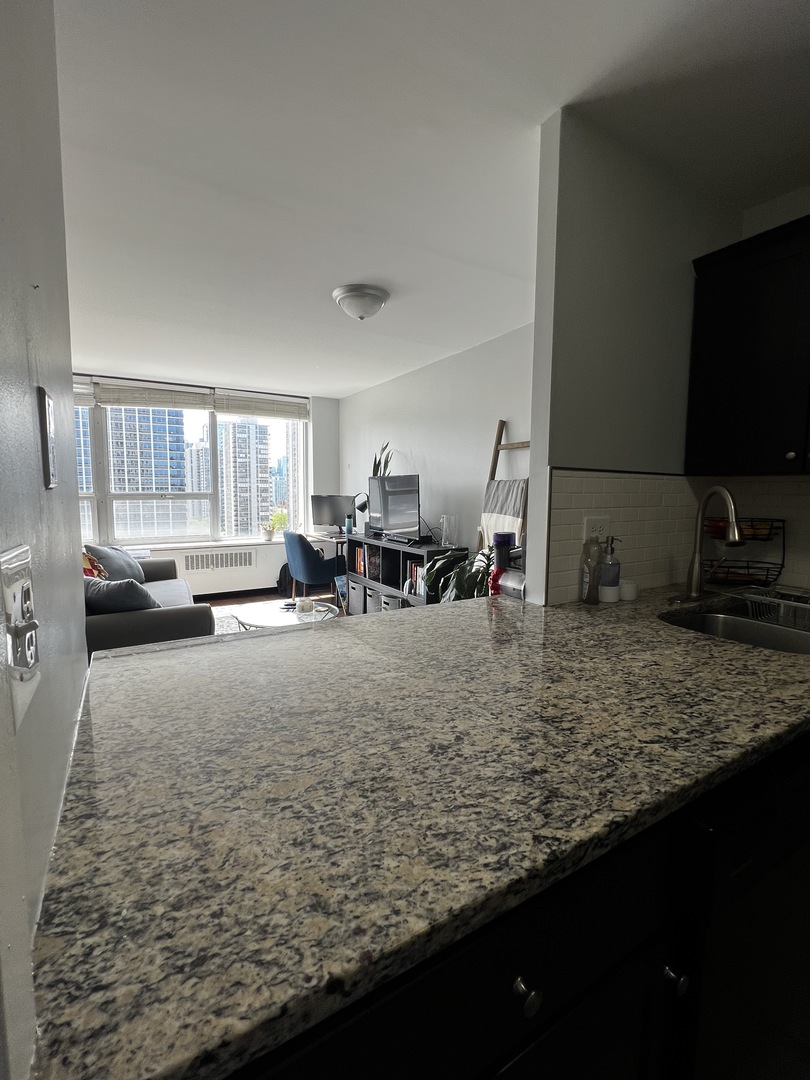 70 W Burton Place Unit: 1706