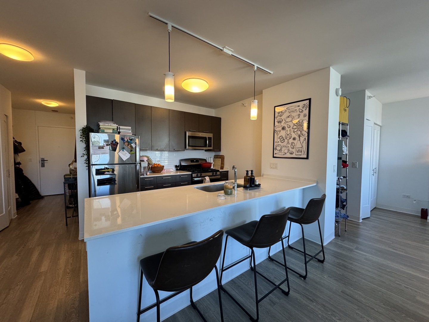 637 N Wells Street Unit: 3011