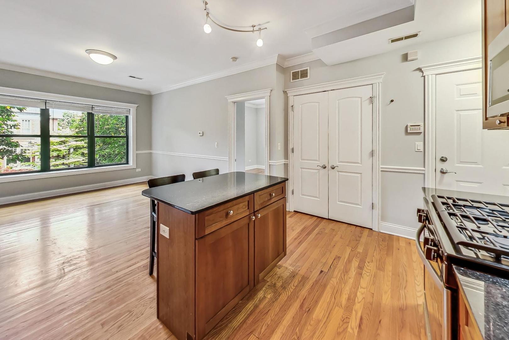 625 W Arlington Place Unit: 2N
