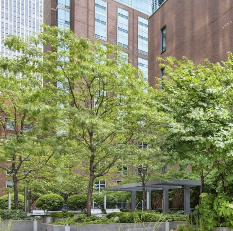 845 N State Street Unit: 902