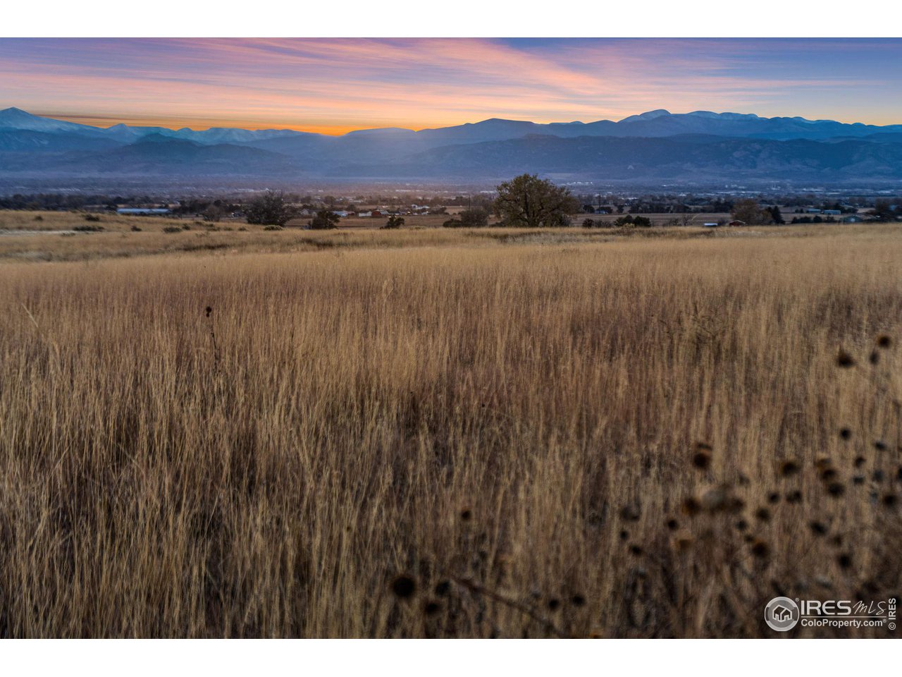 7899 County Road 84 - Lot 8