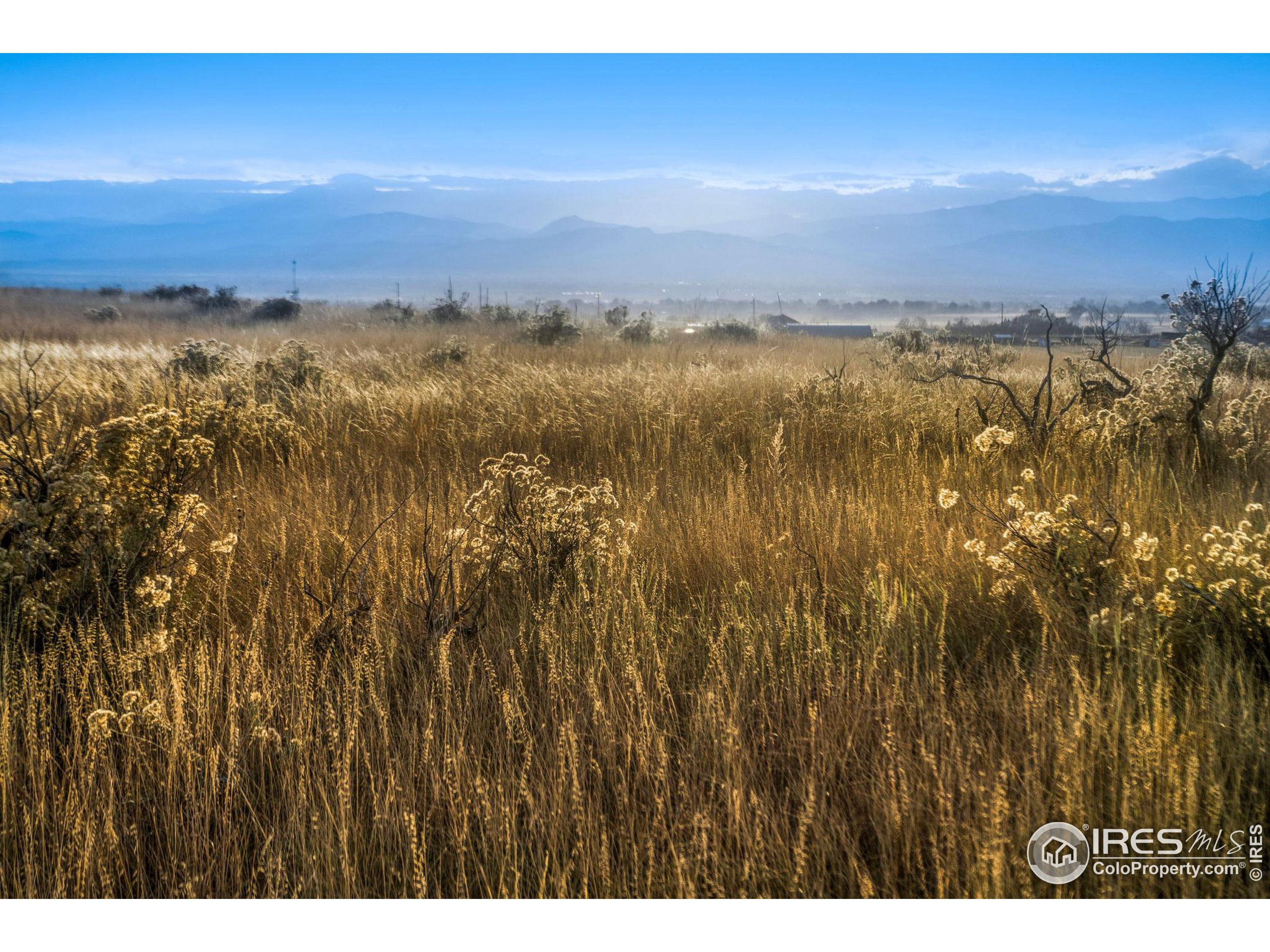 7899 County Road 84 - Lot 8