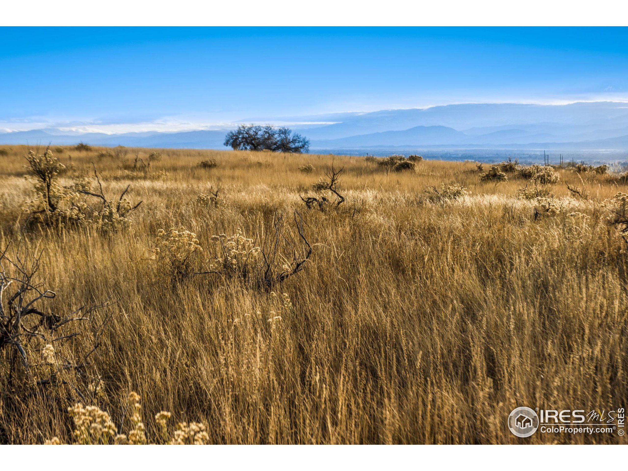 7899 County Road 84 - Lot 8