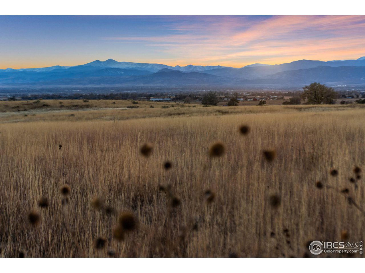 7899 County Road 84 - Lot 8