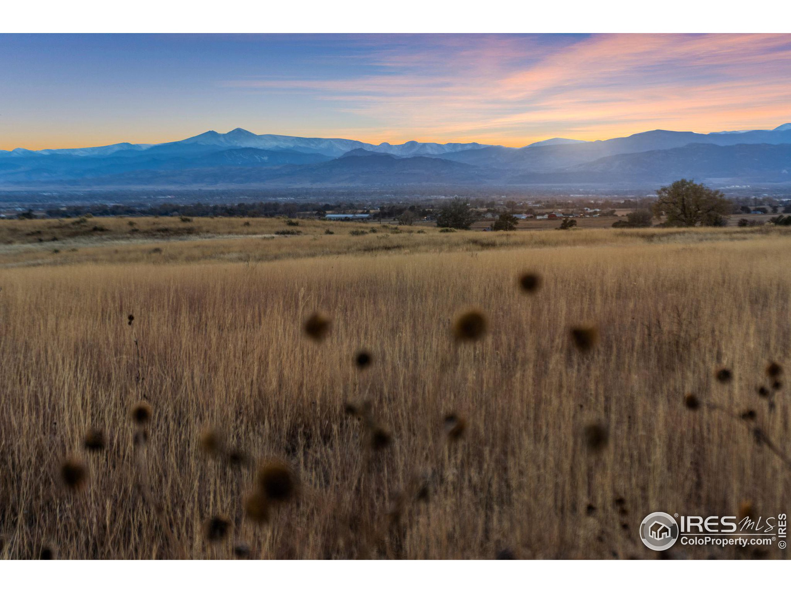 7899 County Road 84 - Lot 8