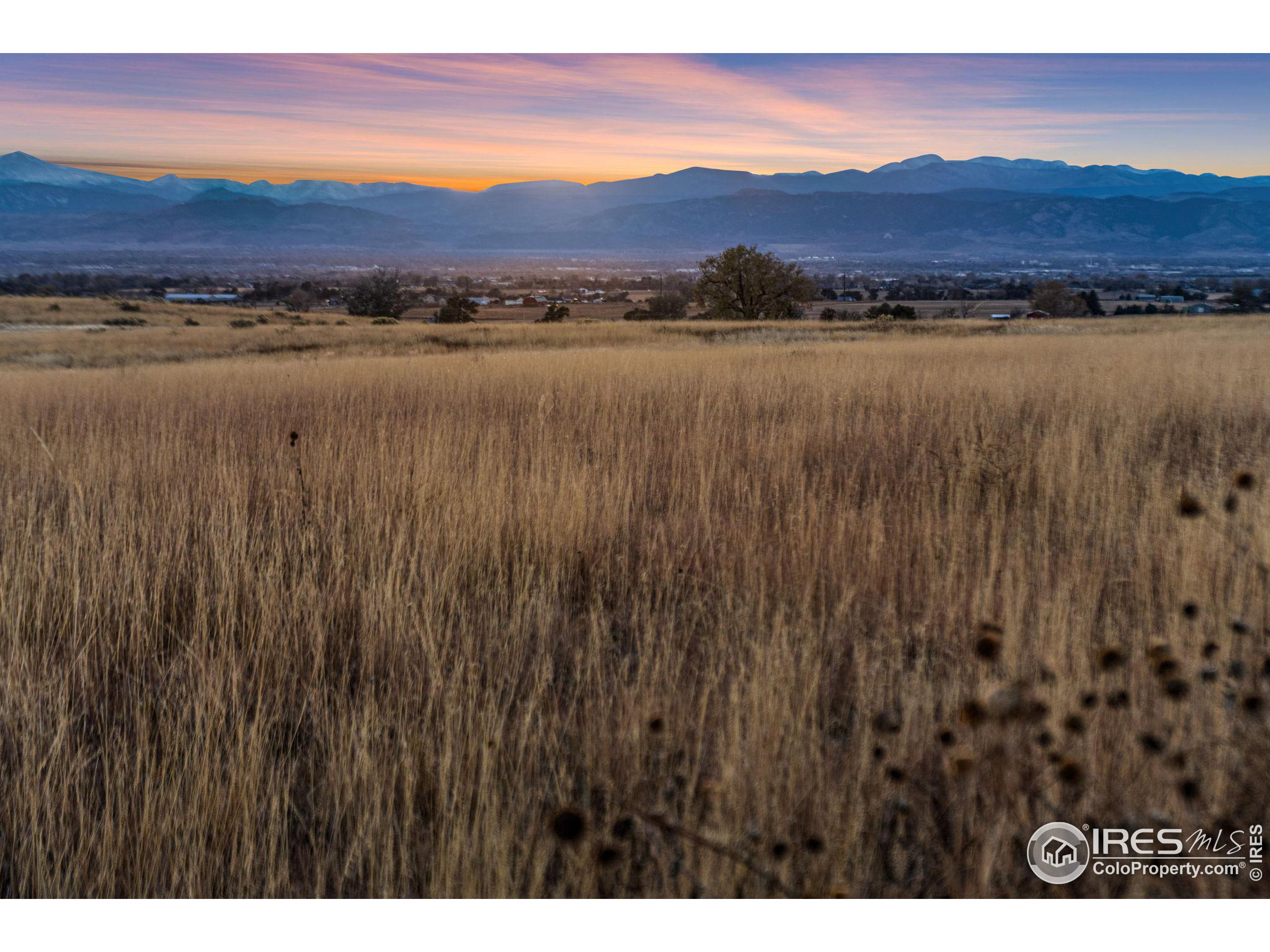 7899 County Road 84 - Lot 8