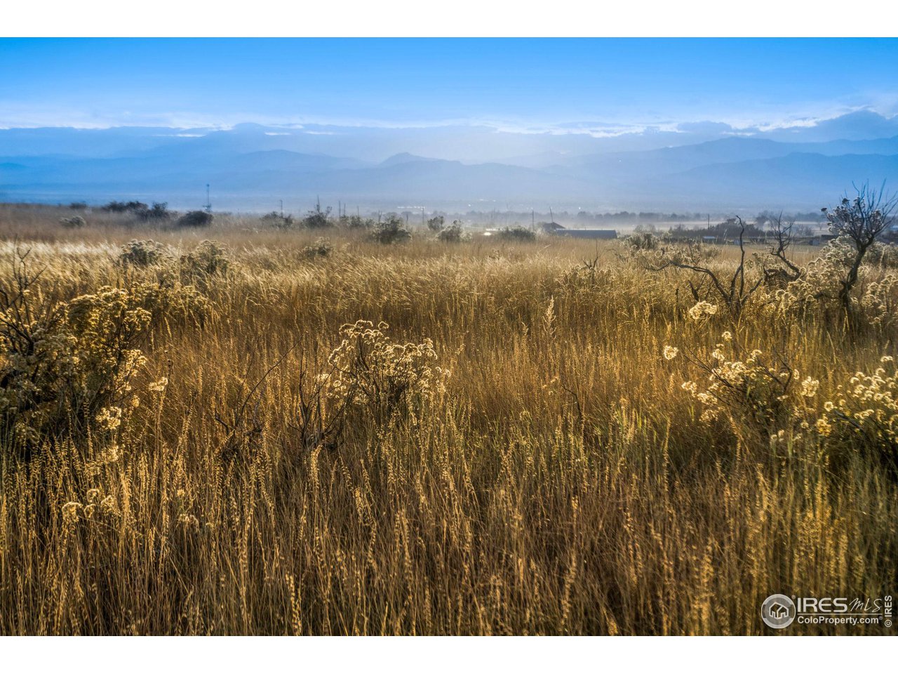 7899 County Road 84 - Lot 8