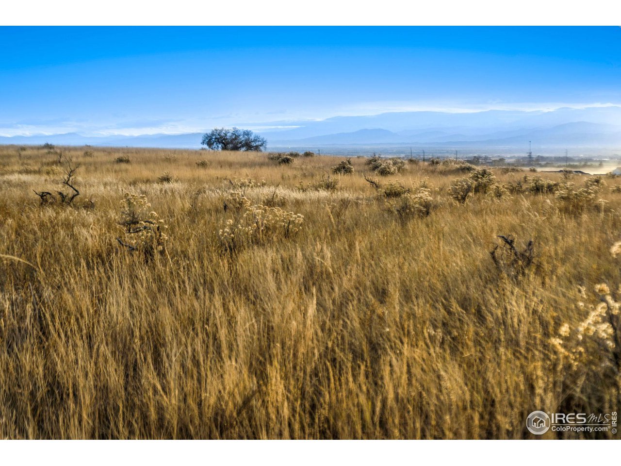 7899 County Road 84 - Lot 8