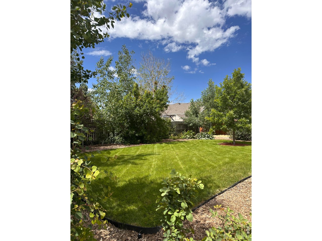 883 Emerald Dr