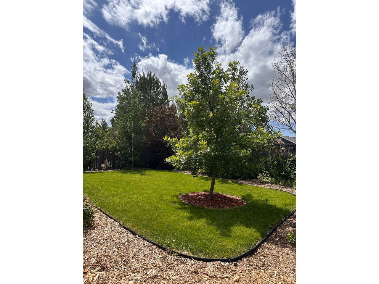 883 Emerald Dr