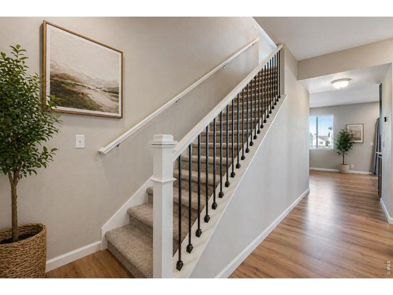 109 Morgan Cir S