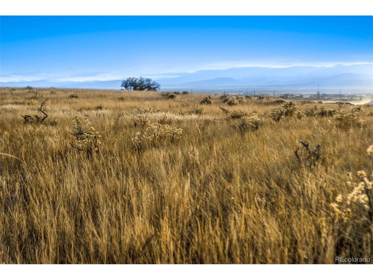 7899 County Road 84 - Lot 8