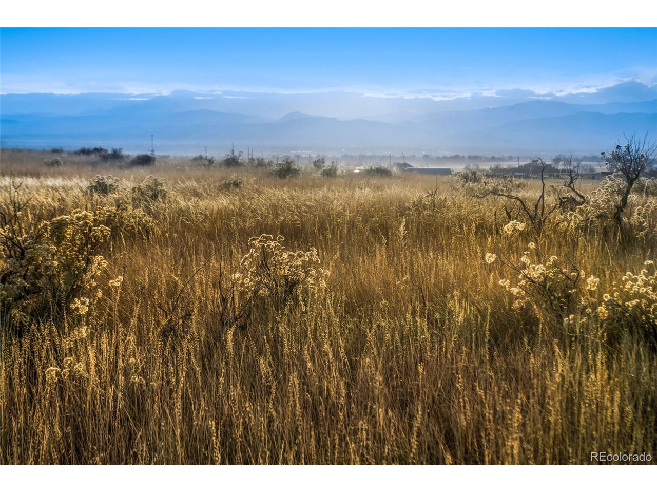 7899 County Road 84 - Lot 8