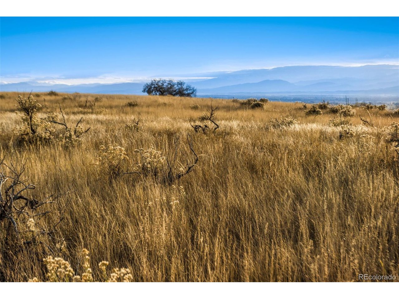 7899 County Road 84 - Lot 8