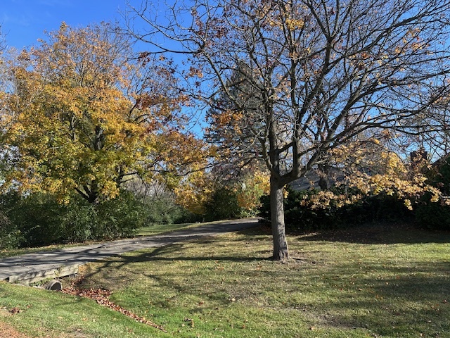 335 Countryside Court