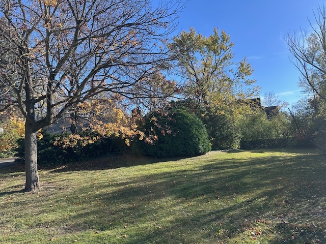 335 Countryside Court