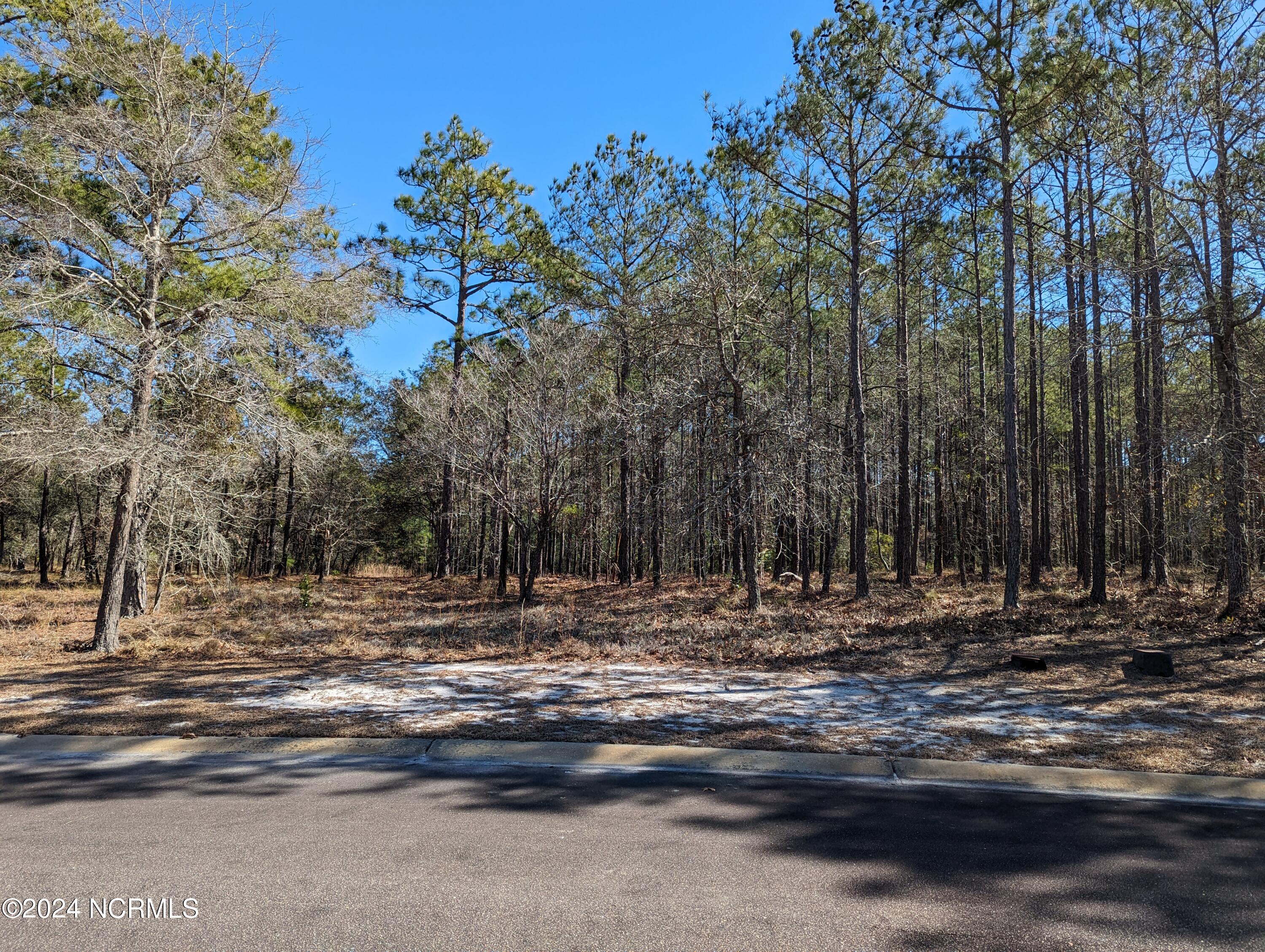 578 Bendigo Passage Court SE