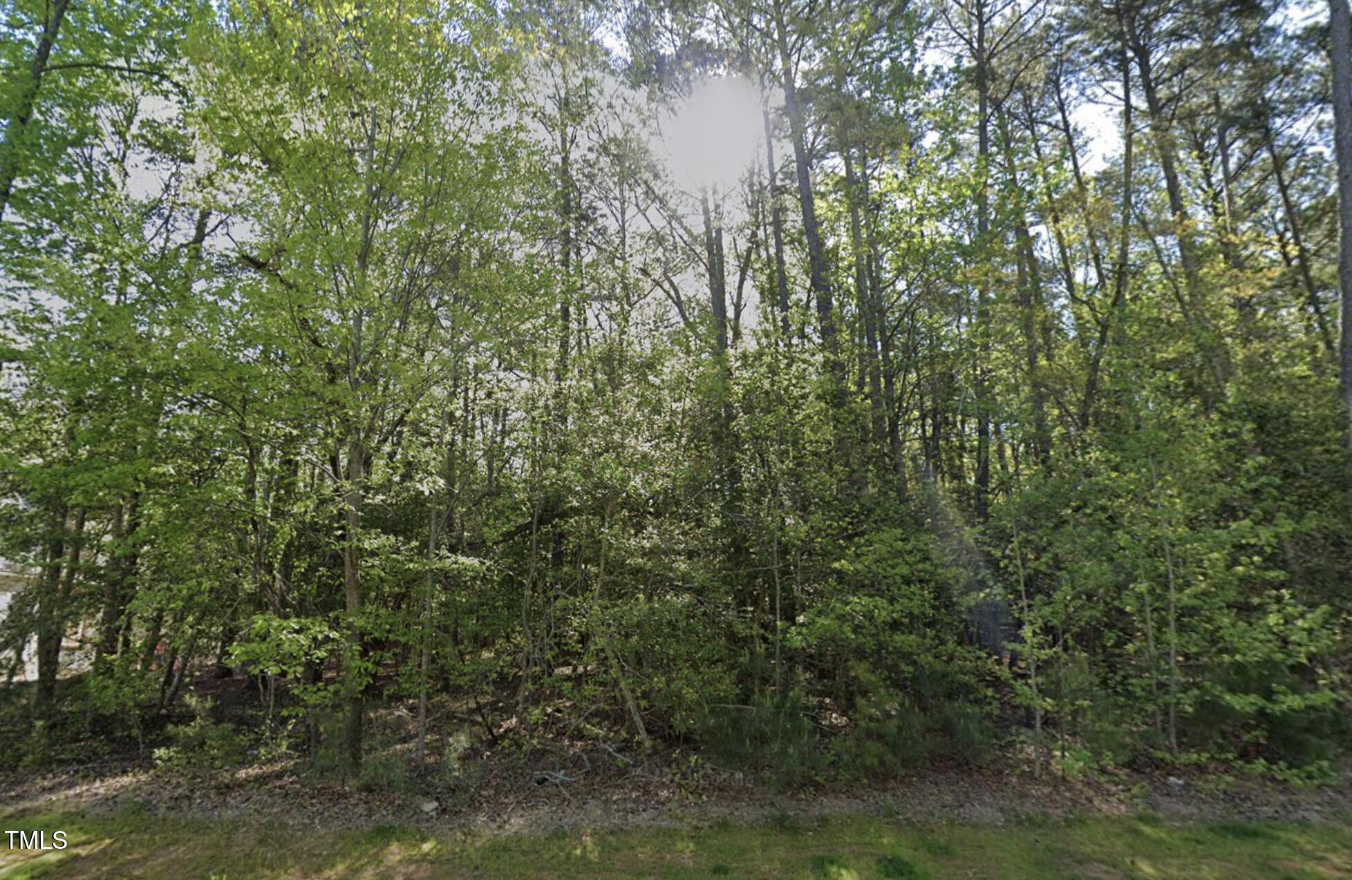 191 Bonica Creek Drive