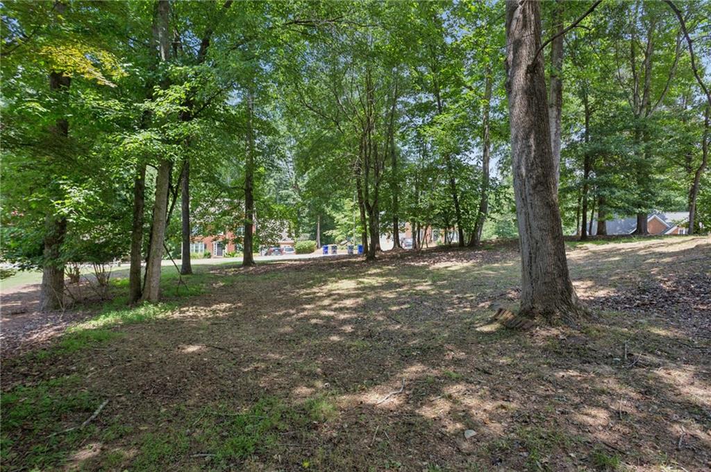 1441 Livingston Drive SW