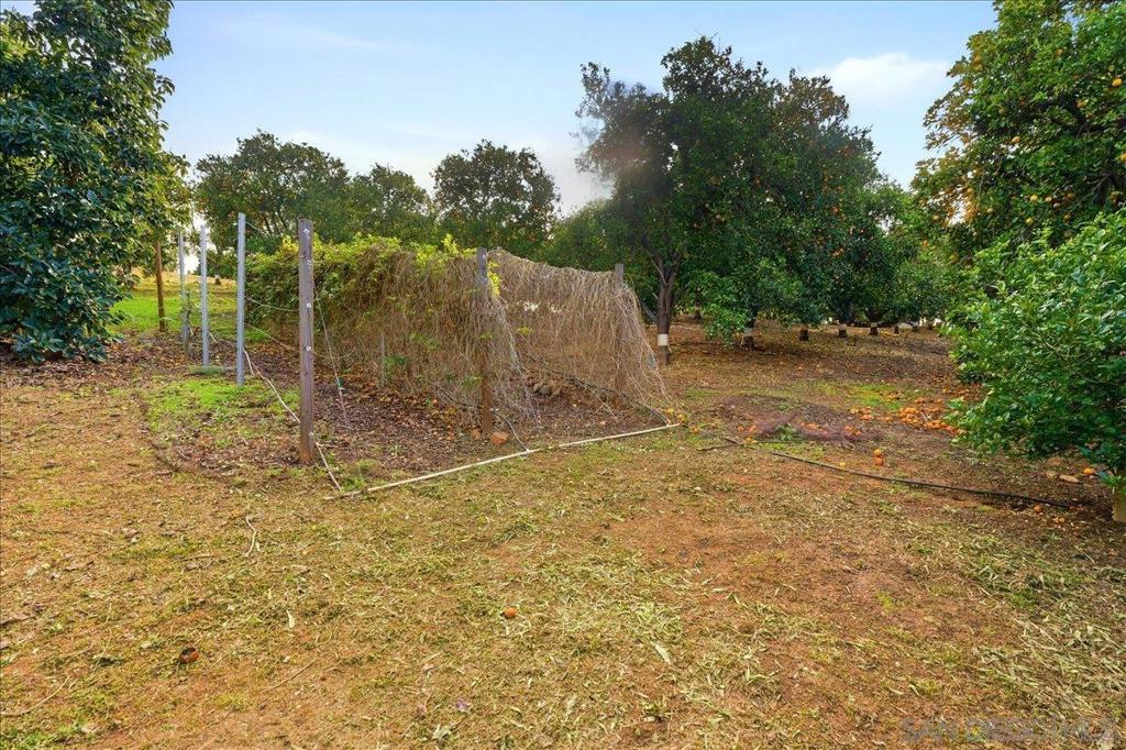 11568 Minneola Cir