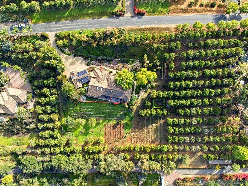 11568 Minneola Cir
