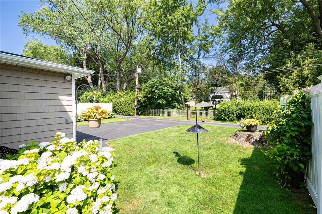 36 Dover Park
