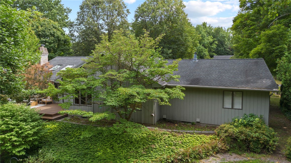 5 Greentree