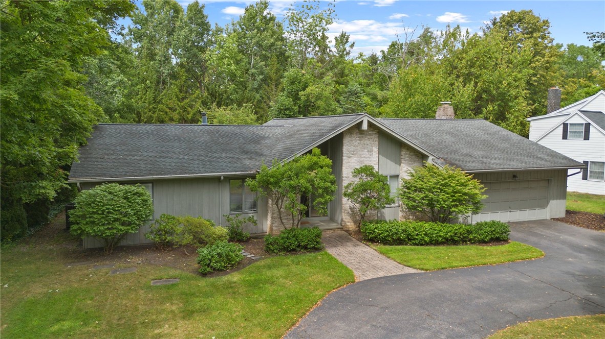 5 Greentree