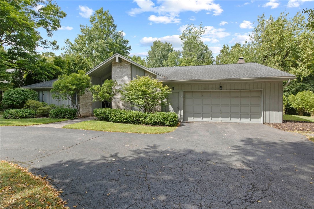 5 Greentree