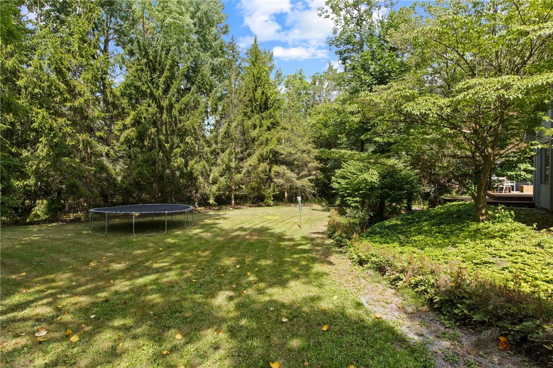 5 Greentree