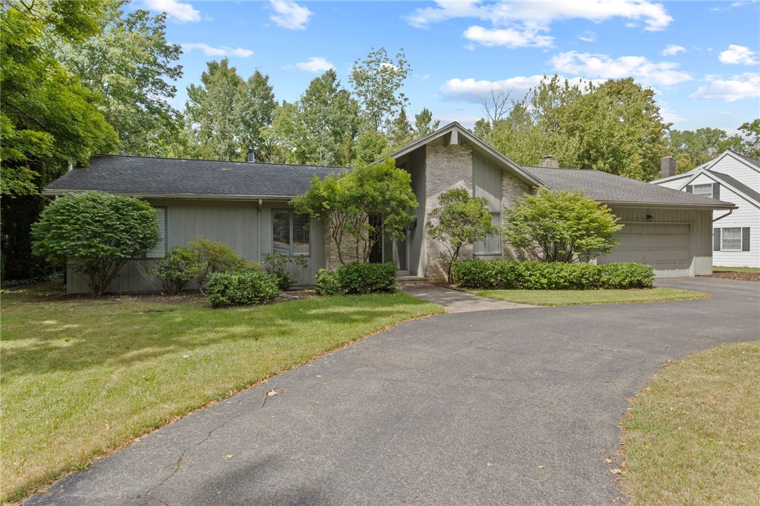 5 Greentree