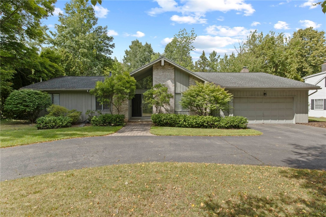 5 Greentree