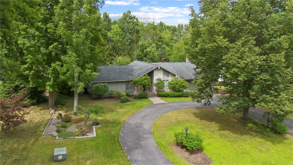 5 Greentree